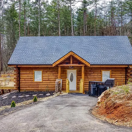A Playful Bears Cabin #312